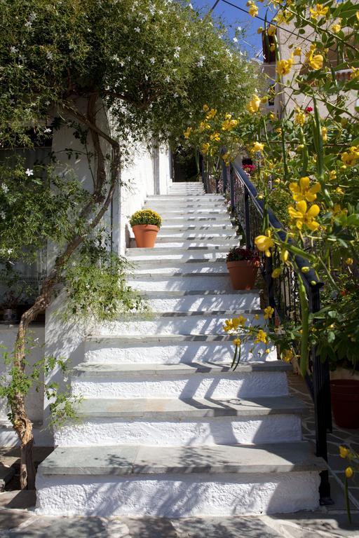 Notis Hotel Σάμος Εξωτερικό φωτογραφία